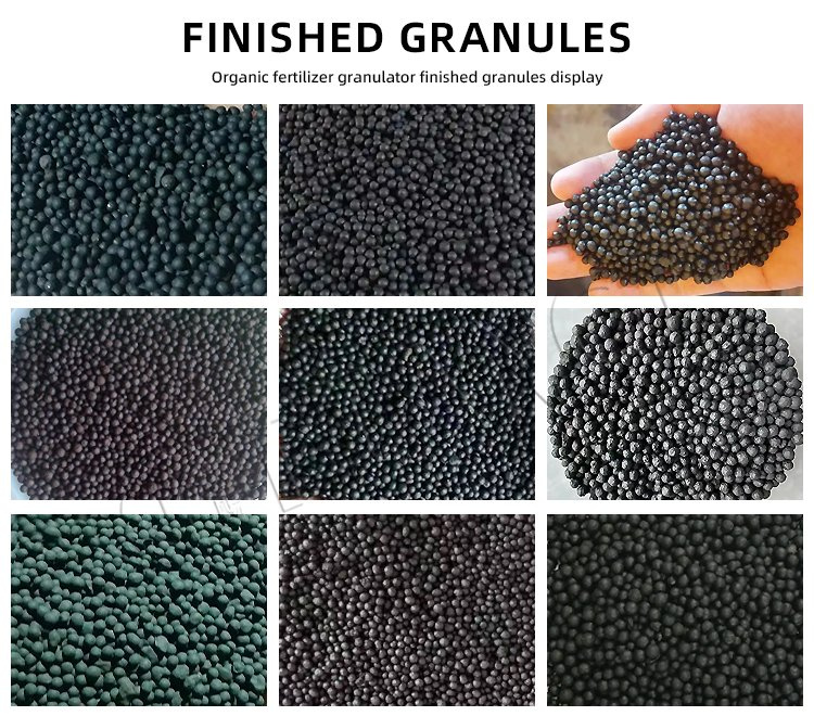 Organic Fertilizer Granulator Finished Granules Display